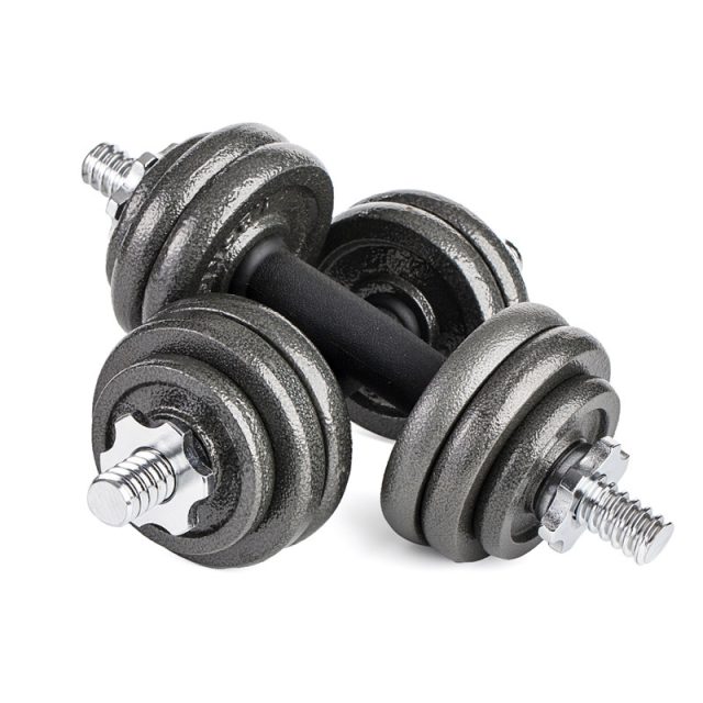 18 fitness dumbbell (1)