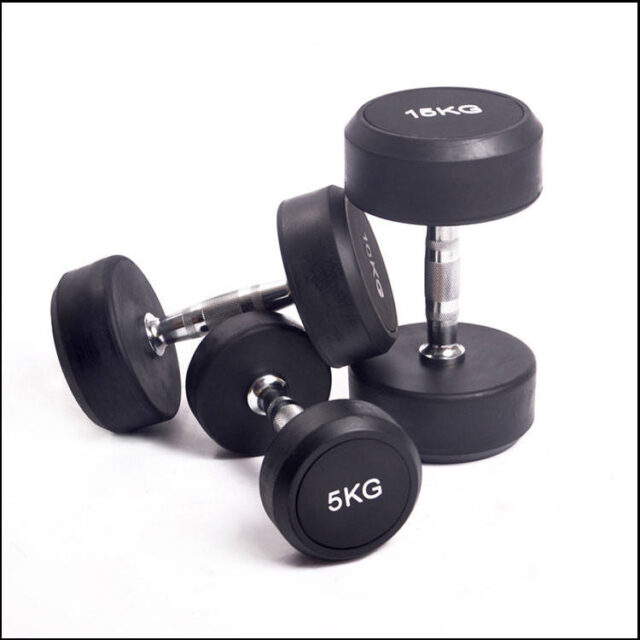 dumbbells wholesale gym supply