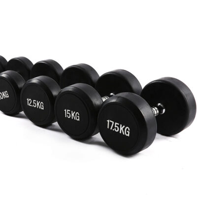 dumbbells wholesale gym supply
