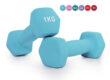 rubber dumbbells 1kg hex design