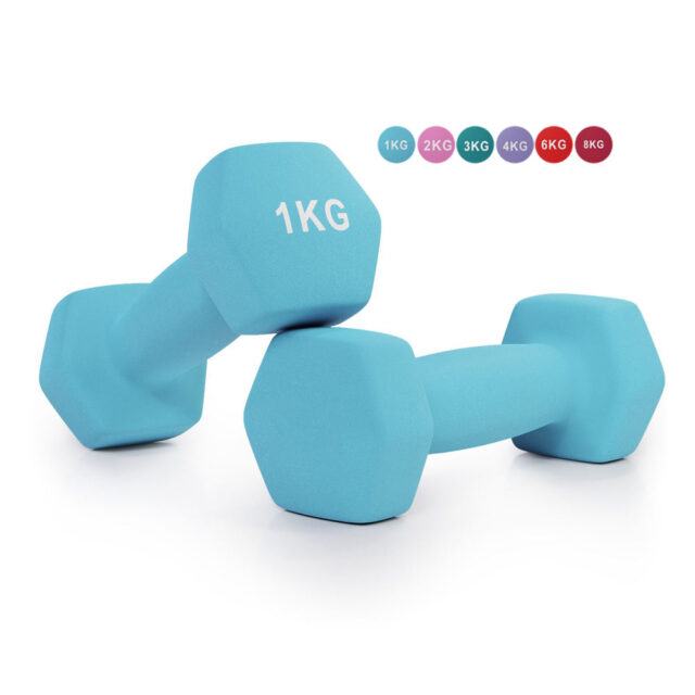 rubber dumbbells 1kg hex design