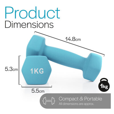 rubber dumbbells 1kg hex design