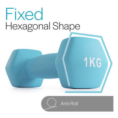 rubber dumbbells 1kg hex design