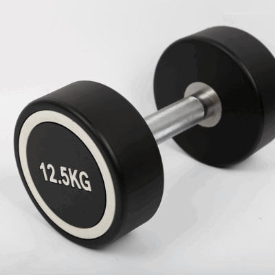 dumbbells manufacturer for gyms