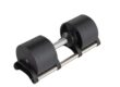 Fast adjust adjustable dumbbell