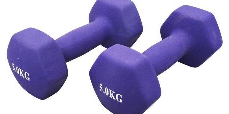 New Trend Hexagonal Neoprene Dumbbells Set for Gym Training (2) hexagonal neoprene dumbbells set for gym