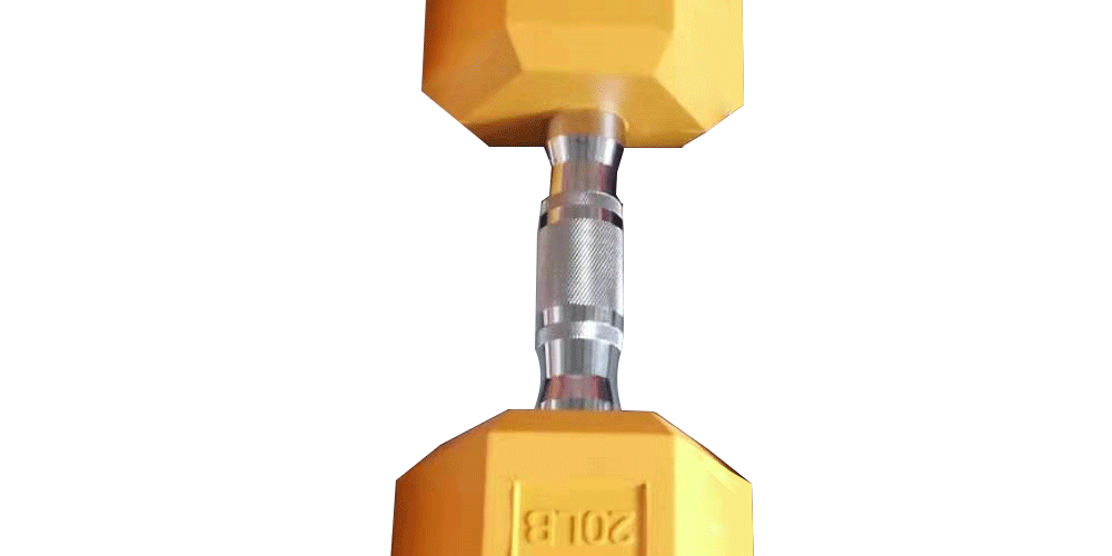 dumbbells supplier 20lb cast iron