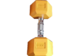 dumbbells supplier 20lb cast iron