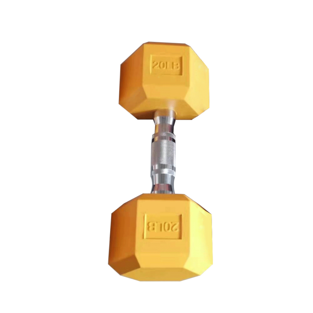 dumbbells supplier 20lb cast iron