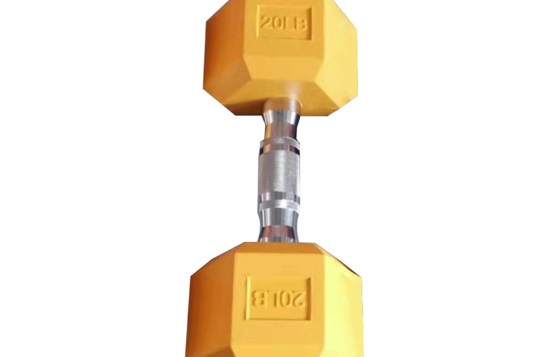 dumbbells supplier 20lb cast iron