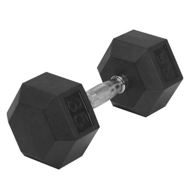 dumbbells supplier 20lb cast iron