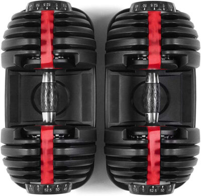 adjustable dumbbells for gyms