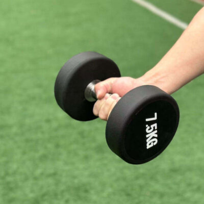 Commercial Round Head Gym Dumbbells