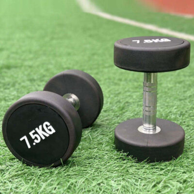Commercial Round Head Gym Dumbbells