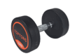 Round Head CPU Urethane Dumbbells for Gym
