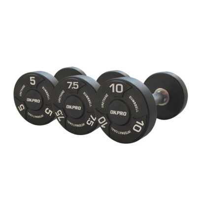 Round PU Gym Dumbbell China Wholesale